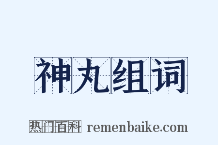 神丸组词是什么意思的图片